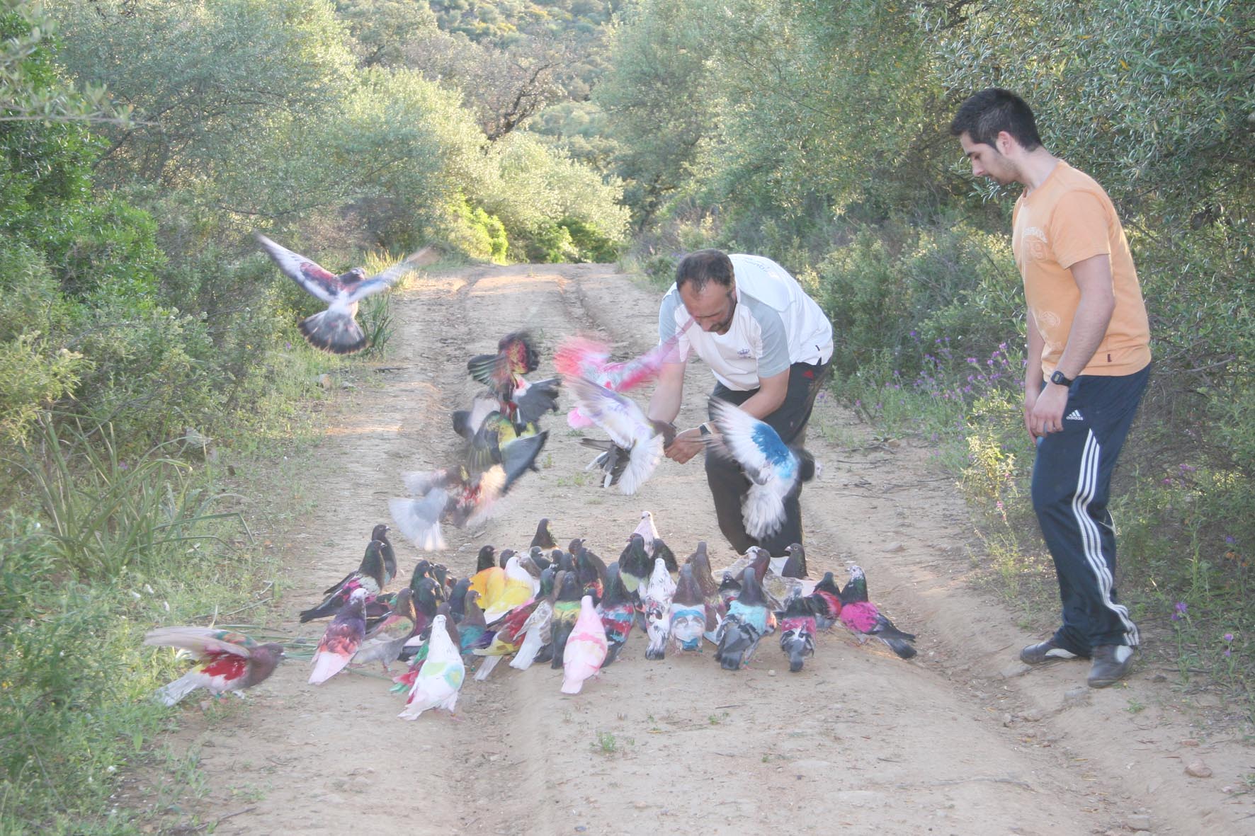concurso_palomos_deportivos_x22x.JPG
