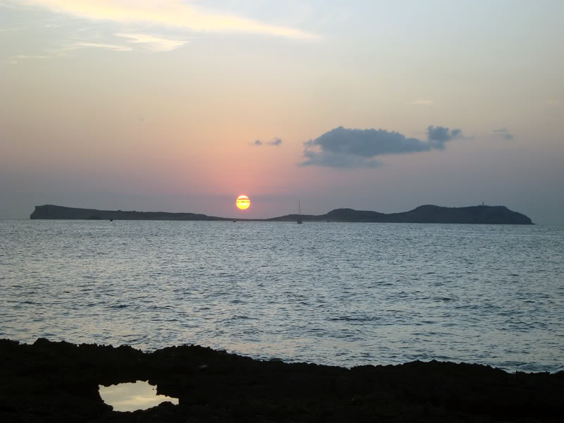 Conejeraalsol.jpg