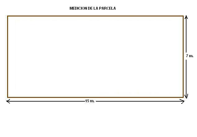 Construccion bancal  MEDICION DE LA PARCELA.JPG