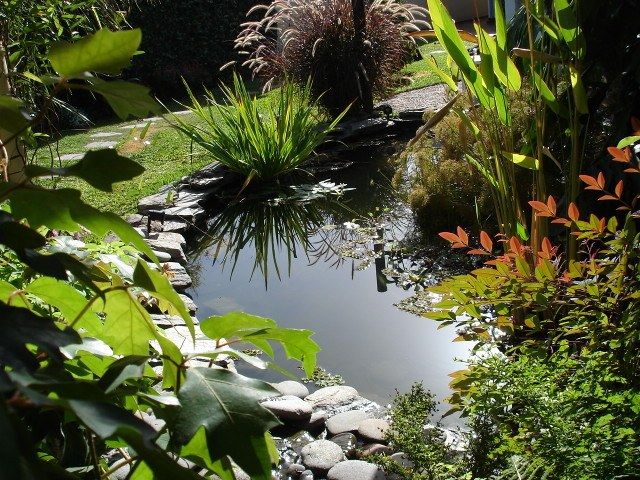 Construir%20estanques%20de%20jardin.jpg