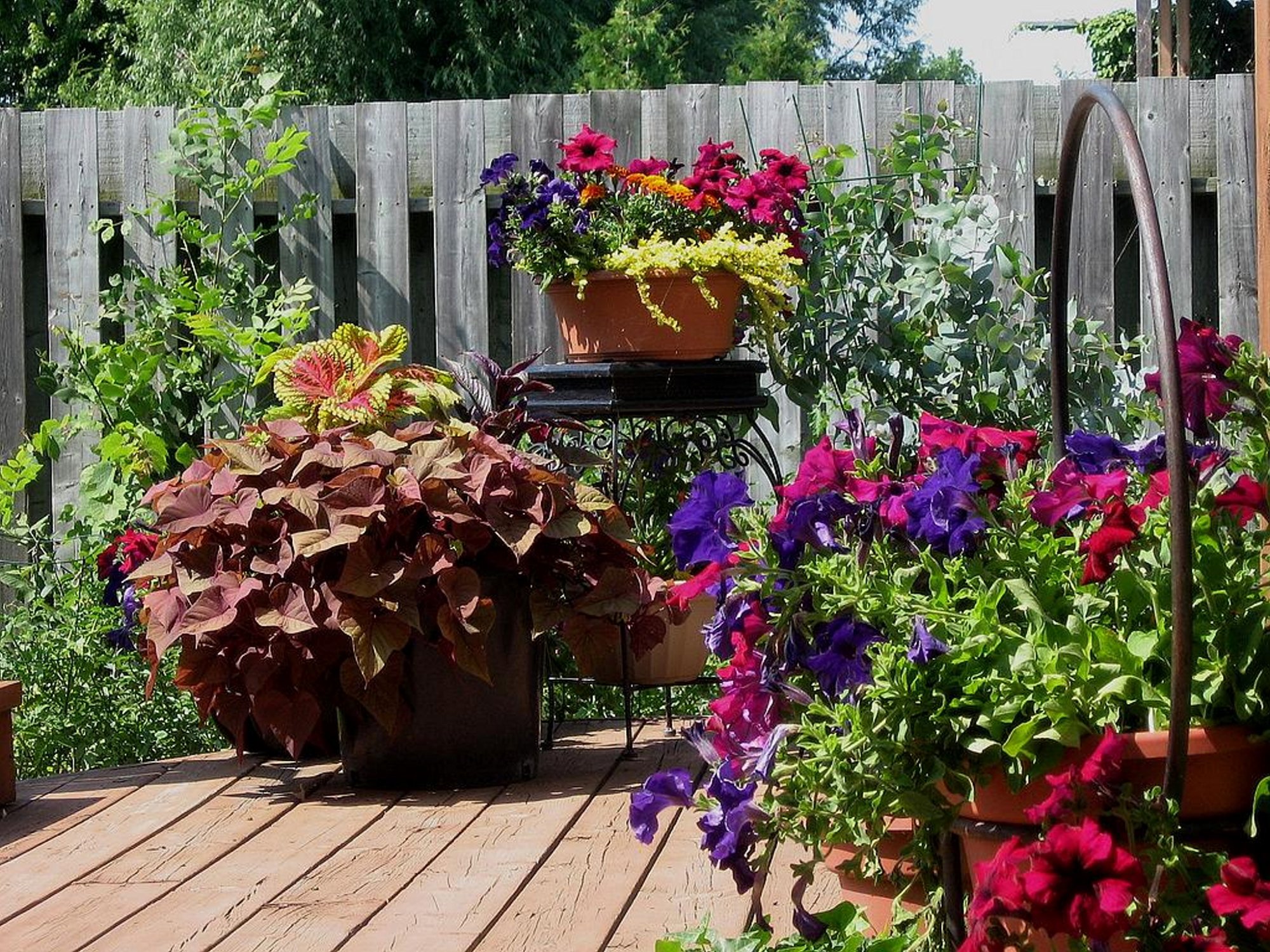 Container-Gardening.jpg