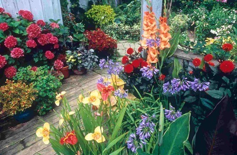 containergardeningbulbs_thumb.jpg