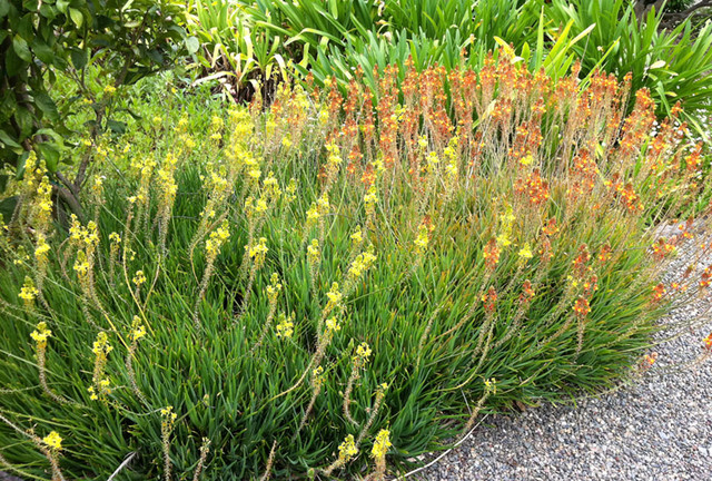 contemporaneo-jardin.jpg