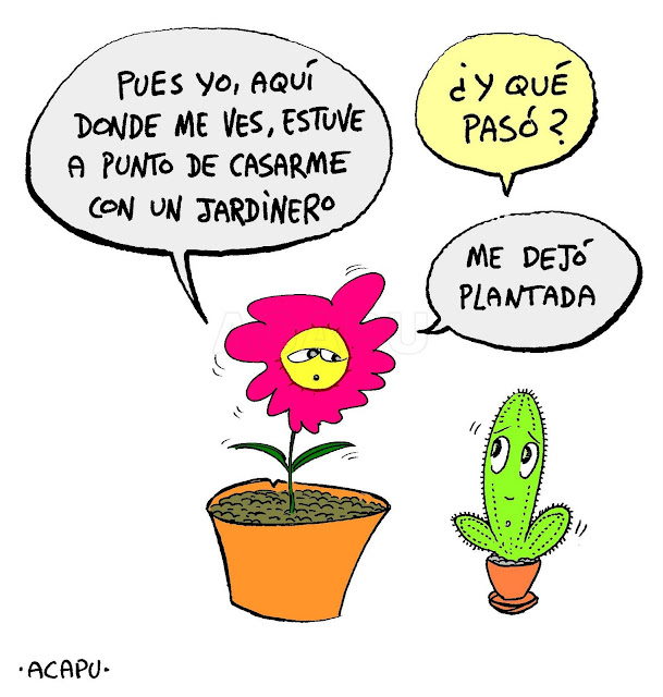 Conversa+flor+cactus-C-.jpg