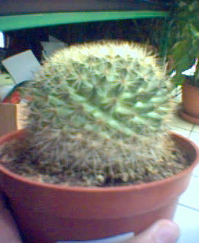 Copia%20de%20Imagen%283%29.jpg