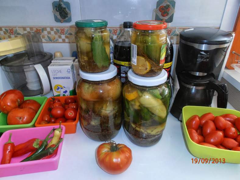 Copia+de+P9190001.JPG