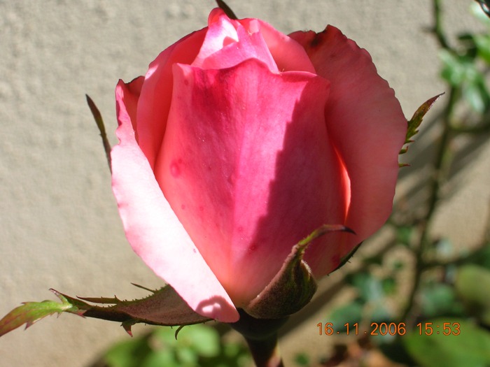 Copia_de_Nov_2006_089.jpg