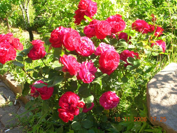 Copia_de_Nov_2006_265.jpg