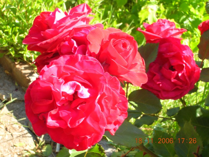 Copia_de_Nov_2006_266.jpg