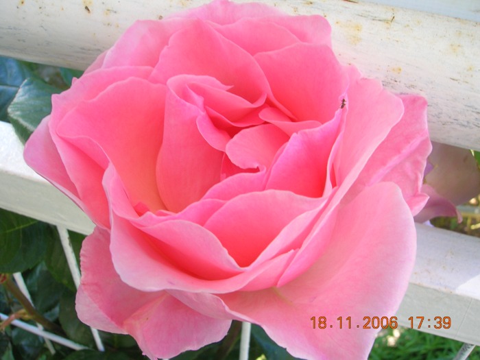 Copia_de_Nov_2006_298.jpg