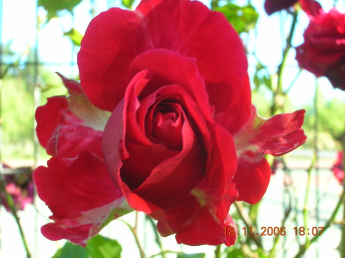 Copia_de_Nov_2006_338.jpg