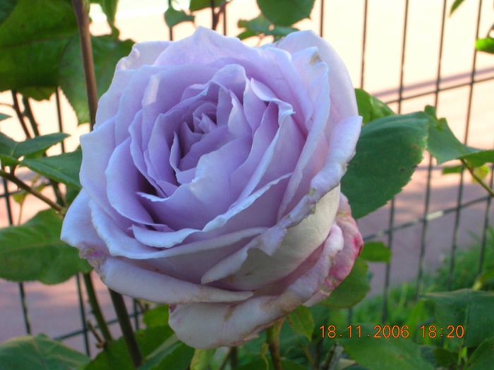Copia_de_Nov_2006_377.jpg