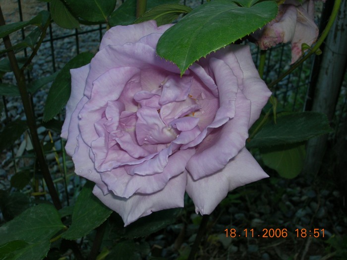 Copia_de_Nov_2006_404.jpg