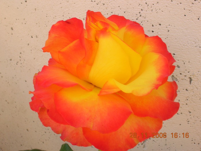 Copia_de_Nov_2006_485.jpg