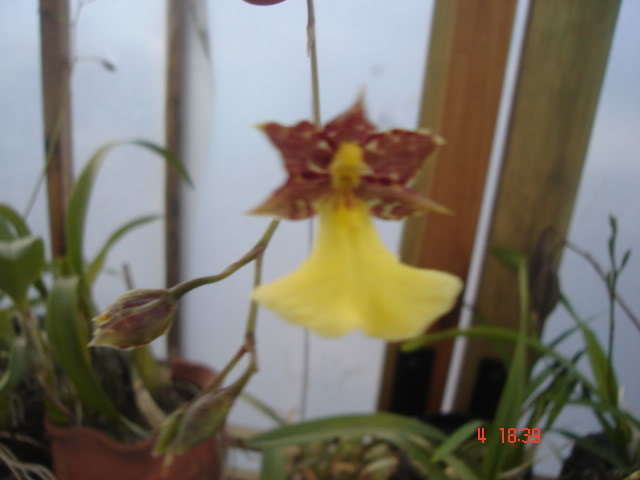 CopiadeDSC04496.jpg