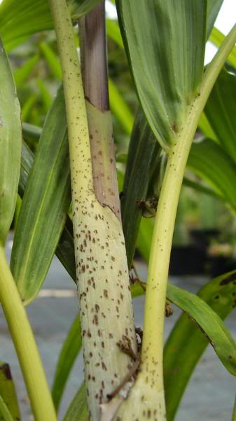 CopiadeP1010053_redimensionar.jpg
