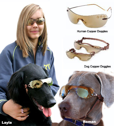 copper-doggles.jpg