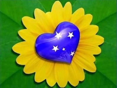 corazon-azul-con-petalos-de-margarita.jpg