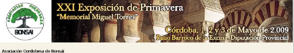 cordoba-1.jpg