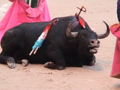 corrida20chateaurenard2pi7.jpg