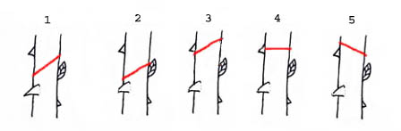 corterosal.jpg