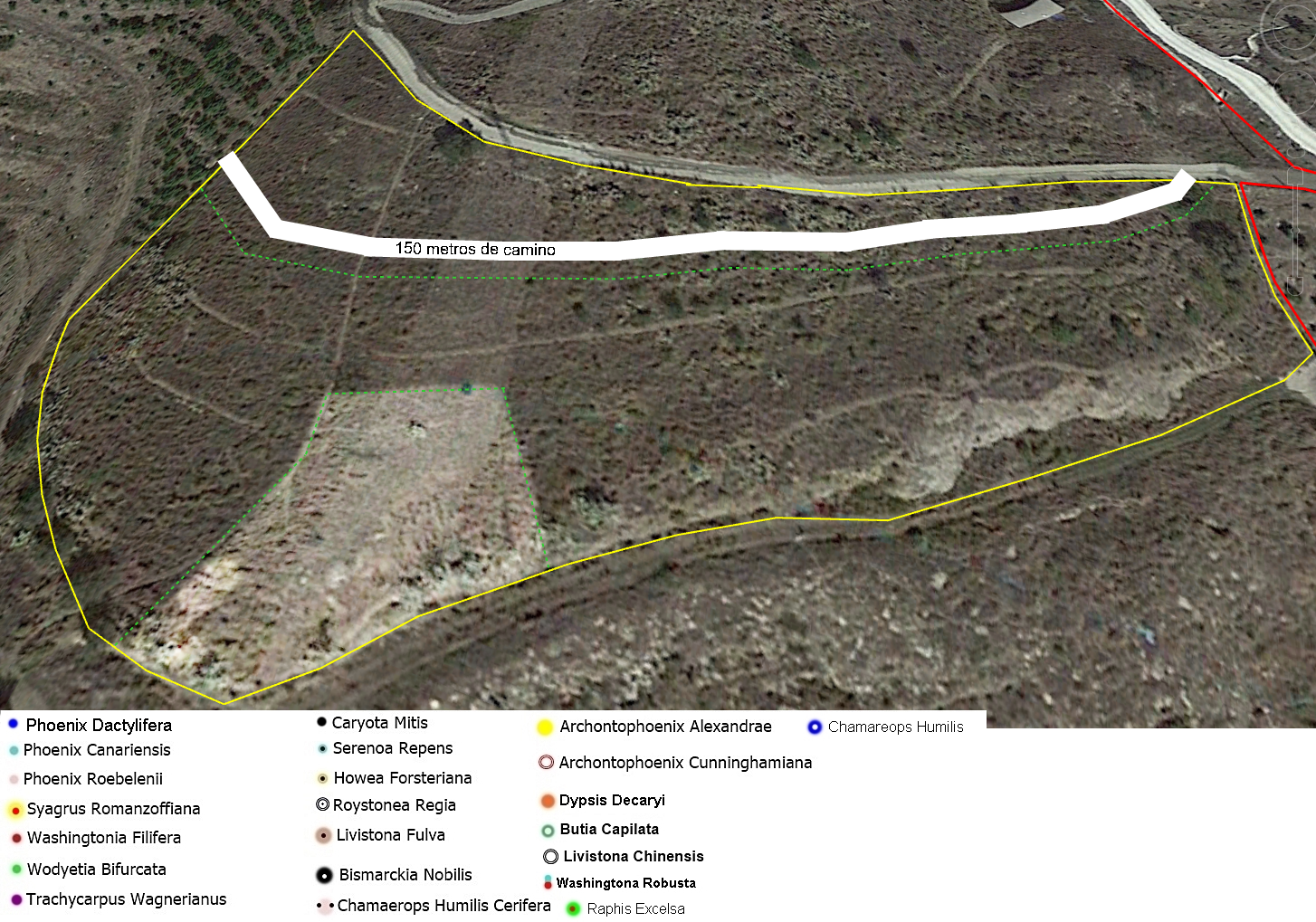 Cortijo.png