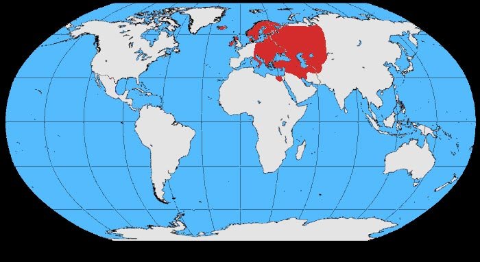 Corvus_cornix_map.jpg