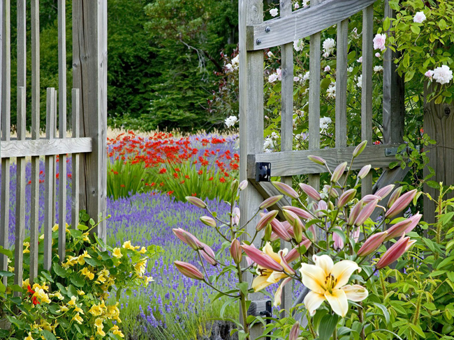 country-garden-2.jpg