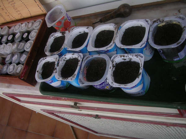 cqs1190996027t.jpg