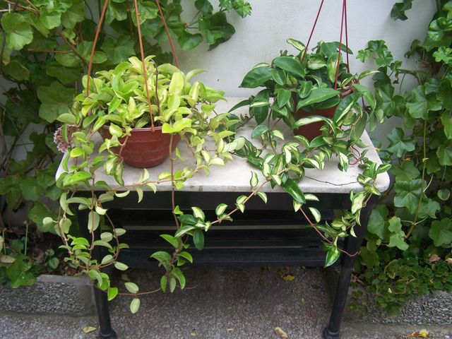 cqs1201113168b.jpg