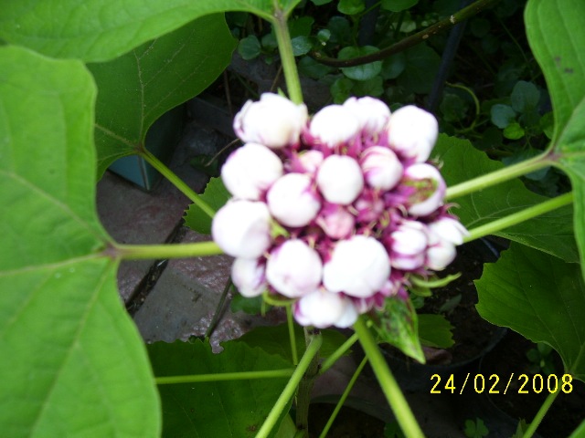 cqs1203891129g.jpg