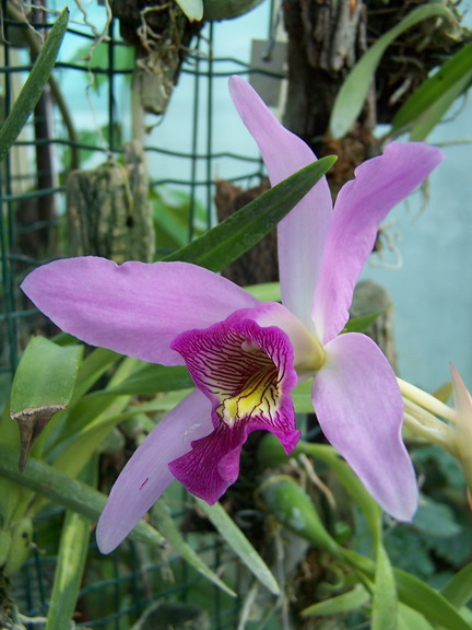 cqs1205909295m.jpg