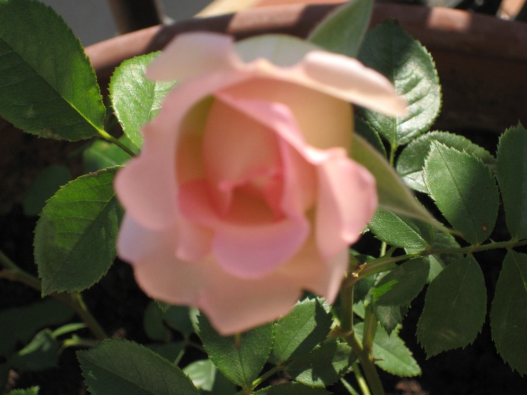 cqs1209333143e.jpg