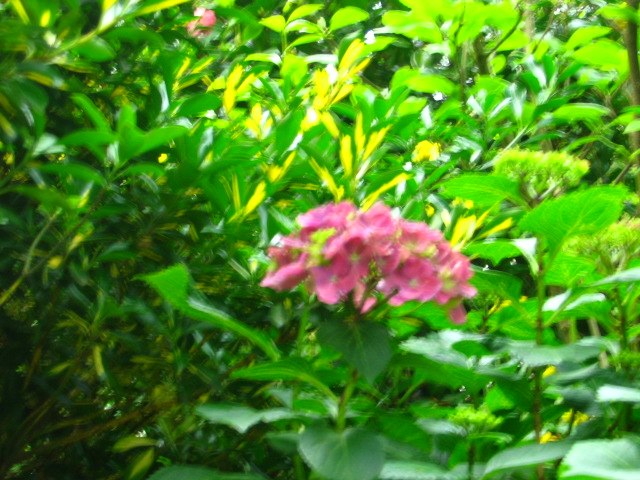 cqs1209815914f.jpg