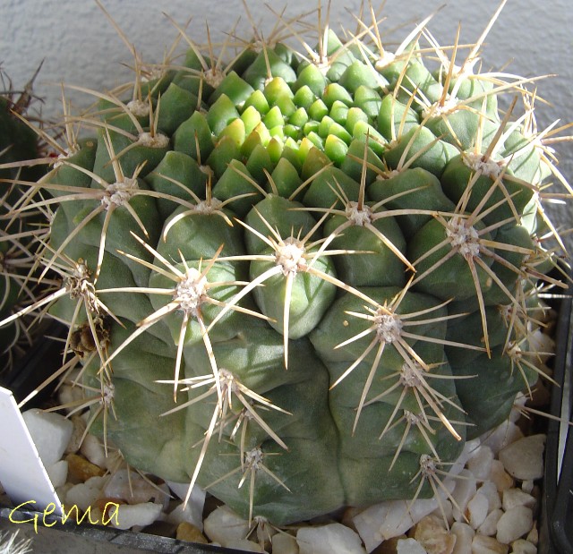 cqs1210795078y.jpg