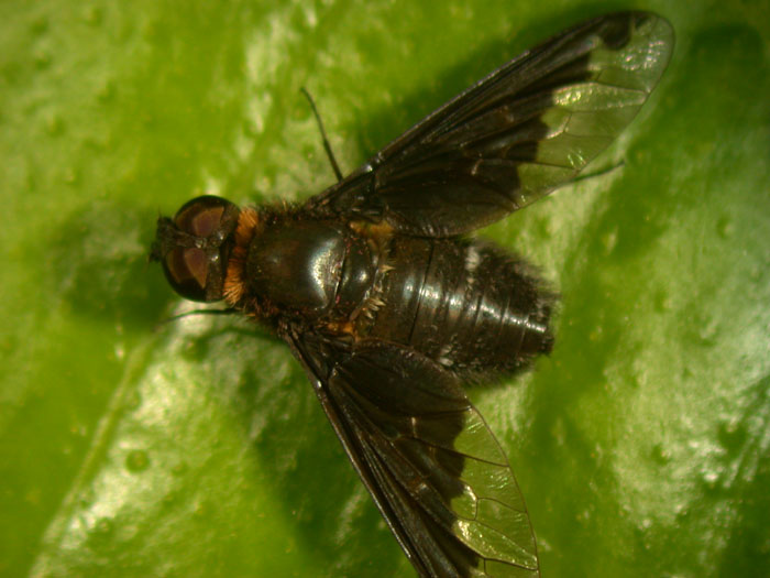 cqs1212061481b.jpg