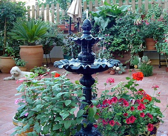 cqs1212089792o.JPG