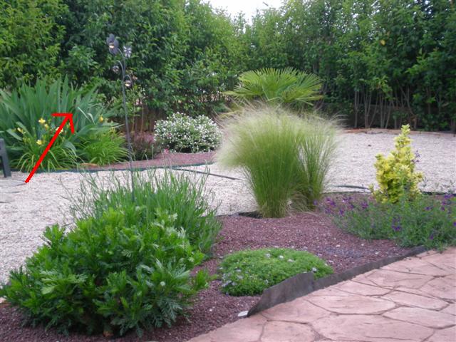 cqs1212142776k.jpg
