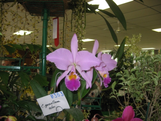 cqs1212200270f.JPG