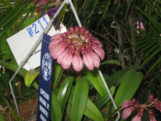 cqs1212202616h.JPG