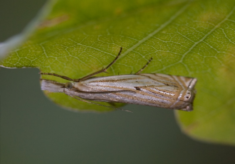 cqs1212265962b.jpg