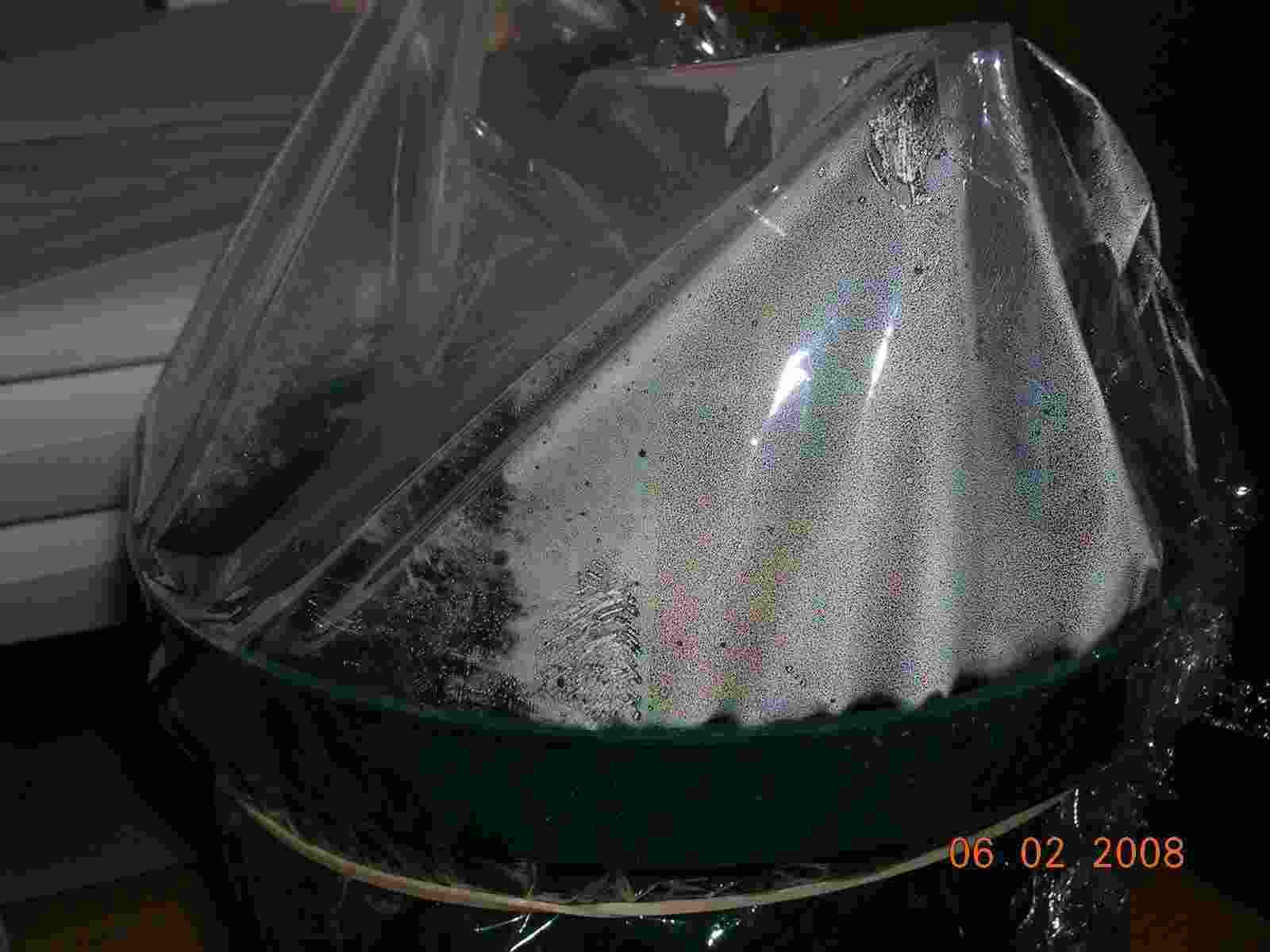 cqs1212447835c.JPG