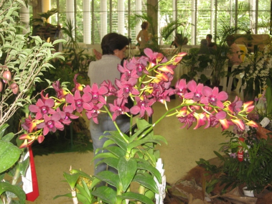 cqs1212457498g.JPG
