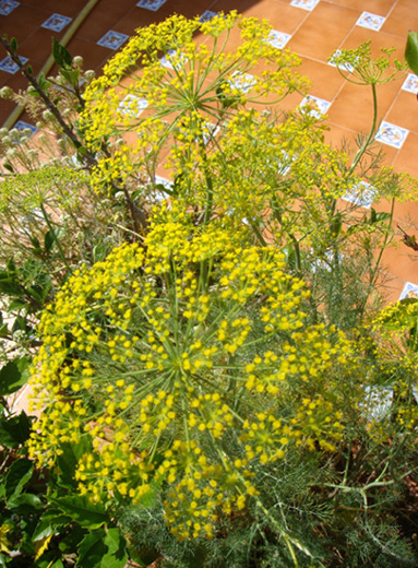 cqs1212579163x.jpg