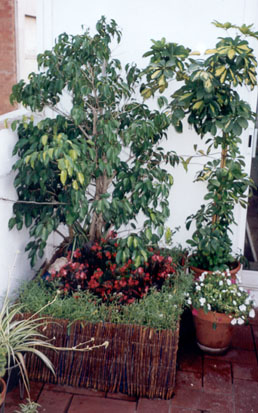 cqs1212599848q.jpg