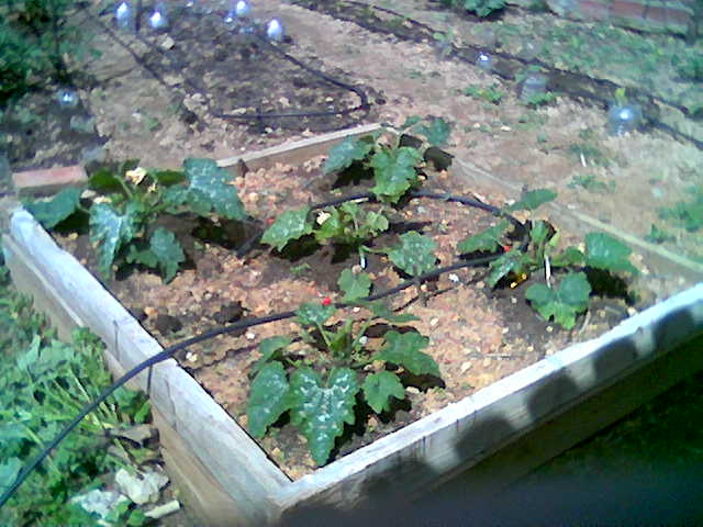 cqs1212608436h.jpg