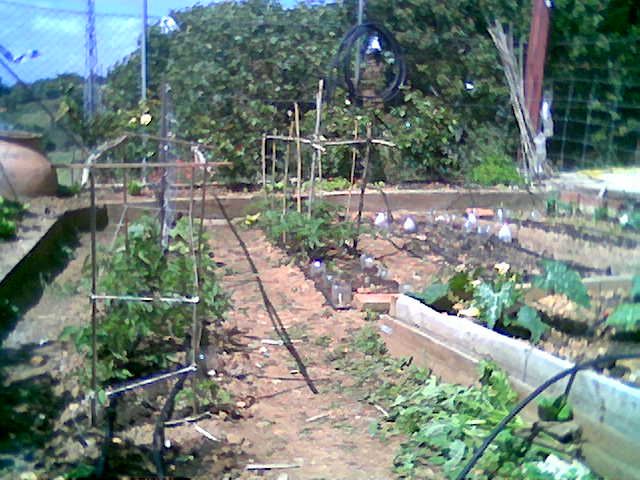 cqs1212608629u.jpg