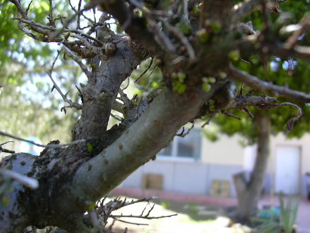 cqs1212621049y.jpg