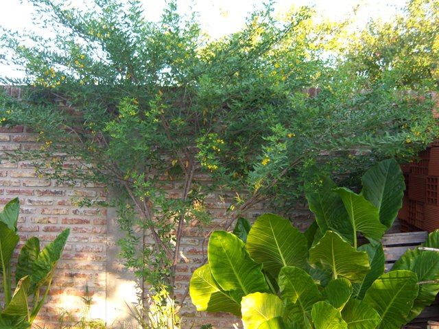 cqs1212632086l.JPG