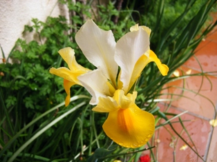 cqs1212650765q.jpg
